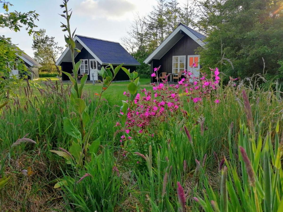 Lindvig - Ferie I Naturen Nymindegab Exterior photo